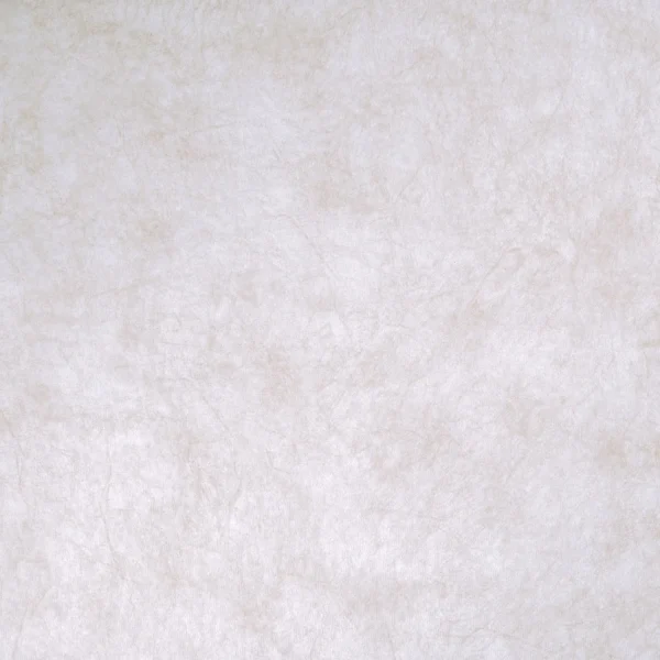 Elefante_01